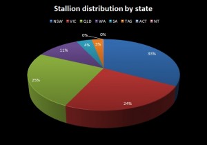 stallion distribution