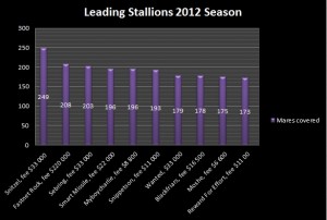 stallions leading