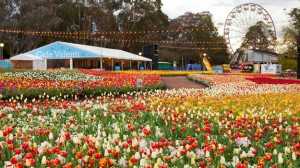 Floriade event at Commonwealth Park, Canberra 2012