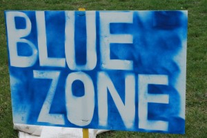 The "Blue Zone" entrance sign.
