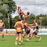 Are The Giants Worth it For Canberra? thumbnail