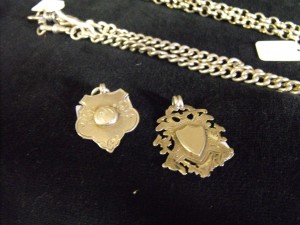 Fob Chain and Charms