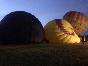 Canberra Balloon Spectacular 2016: up, up and away! thumbnail