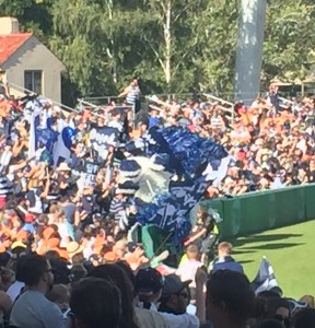 Geelong fans excited after a goal. Photo credit: Hannah Egan
