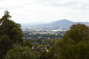 Red Hill lookout - Image by Bec Lawrence 
