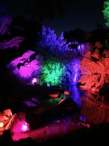 The Botanic Gardens Put On A Show for Enlighten 2017 thumbnail