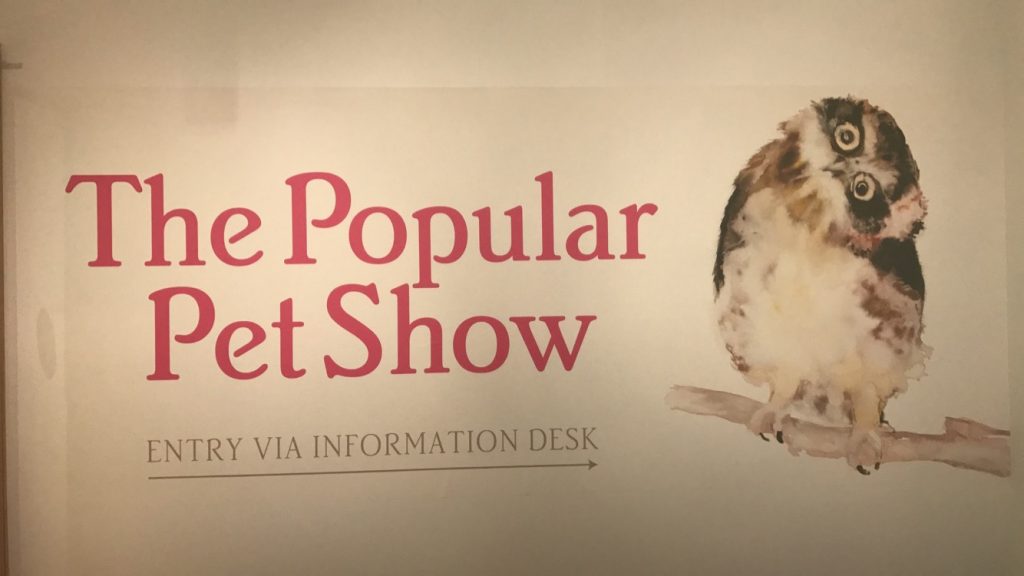 Feature Creatures: A review of ‘The Popular Pet Show’ thumbnail