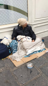 A woman with her two dogs, one of many homeless in La Marais. 