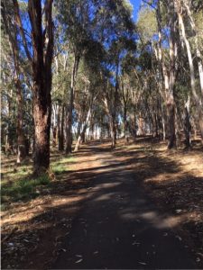 Canberra’s most scenic running routes thumbnail