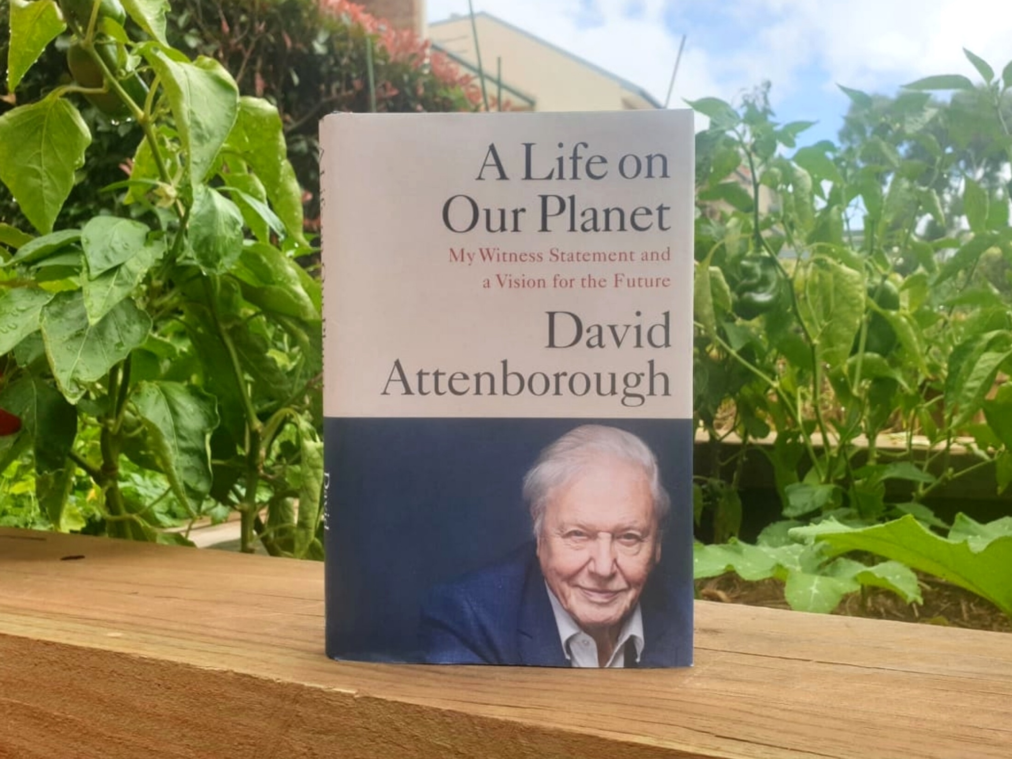 Cover of David Attenborough's book, A Life on Our Planet