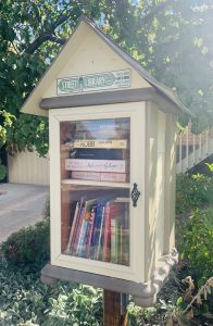 ‘I just love books!’ – Q&A with street library owner Mary Argall thumbnail