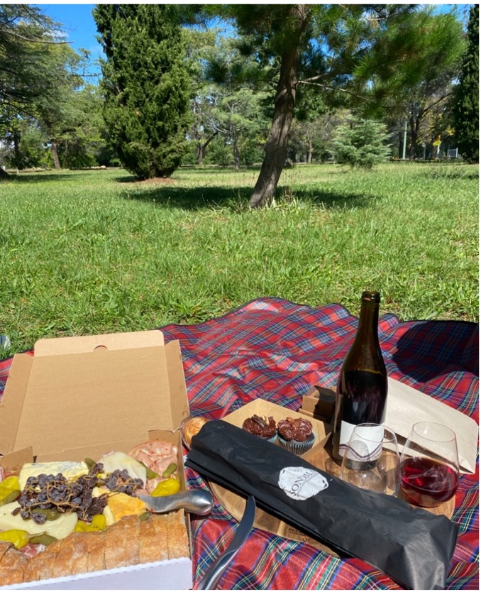 The Secrets Behind a Mystery Picnic – NowUC