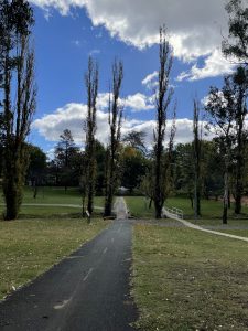 Bike path going through Telopea Park 
